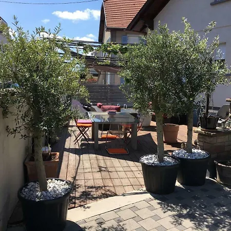 La Terrasse Selestadienne Sélestat Buitenkant foto